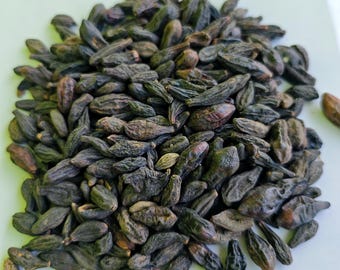 Haritaki orgánico entero (Terminalia Chebula) / Kadukkai / Hierba digestiva y desintoxicante ayurvédica / Ingrediente triphala laxante natural