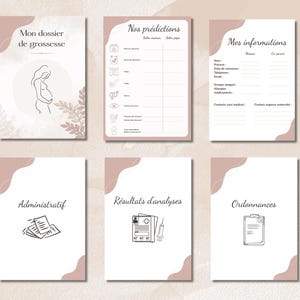 May include: A set of six printable pregnancy journal pages with a soft pink and white design. The pages include sections for predictions, personal information, administrative details, analysis results, and prescriptions. Each page has a unique illustration.