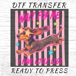 Peut inclure: Une feuille de transfert DTF représentant un teckel marron portant des lunettes en forme d'étoile, sautant sur un fond à rayures verticales roses. Le texte indique DTF TRANSFER, WAIT FOR ME, I HAVE LITTLE LEGS et READY TO PRESS avec des étoiles.