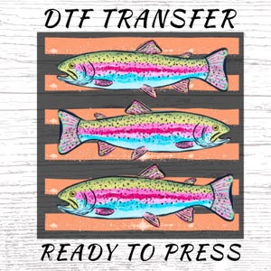 May include: DTF TRANSFER graphic featuring three rainbow trout with vibrant colors of pink, yellow, and blue. The fish are set against a backdrop of orange stripes and a gray wooden texture. The text "READY TO PRESS" is at the bottom.