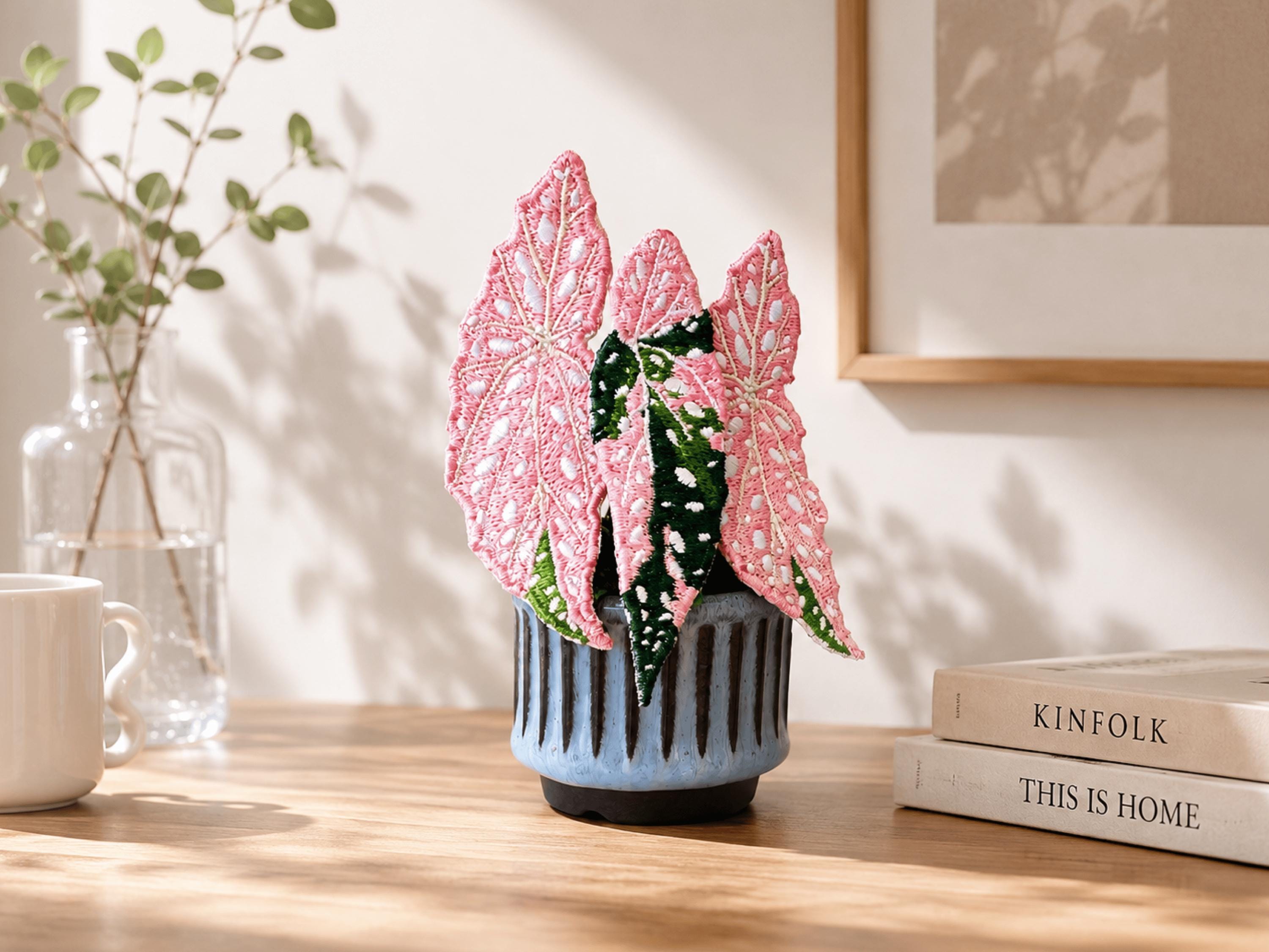 Begonia variegated - Etsy 日本