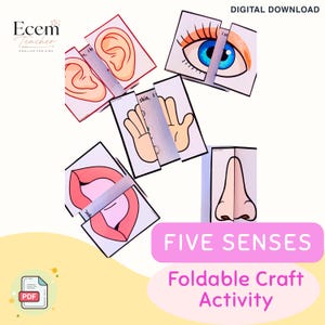 May include: A digital download five senses foldable craft activity featuring illustrations of ears, an eye, a hand, a mouth, and a nose. Each card is designed to fold, displaying body parts with text labels. The set includes the Ecem Teacher logo.