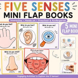 Könnte beinhalten: Five Senses Mini Flap Books Lernset mit fünf druckbaren Seiten, die eine Hand, ein Ohr, ein Auge, eine Nase und einen Mund zeigen. Enthält Anleitungen zum Ausschneiden, Kleben, Zusammenbauen und Lernen der fünf menschlichen Sinne.