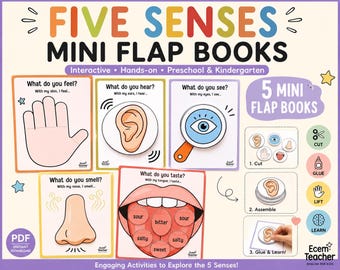 Actividades sobre los cinco sentidos para niños / Manualidad científica preescolar sobre los 5 sentidos / Minilibros interactivos con solapas / PDF imprimible para jardín de infancia