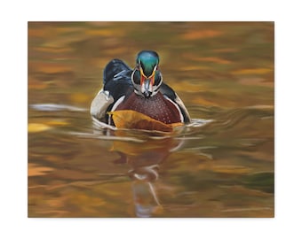 Wood Duck Canvas Print / Autumn Waterfowl Art for Home or Cabin / Wildlife Wall Decor / Duck Hunter Gift / Rustic Nature Painting / Birding