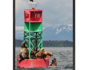 Wood Framed Fine Art Print Sea Lions and Bald Eagle on Navigation Buoy – Alaska Coastal Wildlife Framed Museum quality Archival Print