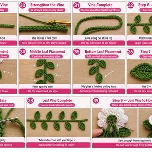 May include: A step-by-step guide to crocheting a flower with leaves. The instructions are displayed in a series of images, showing the process from the main vine to leaf placement and joining the vine to the flower. The text includes stitch counts.