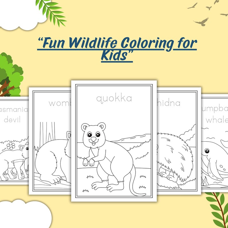 Outback Coloring Australian Animals Coloring Book: Outback Wildlife Activity Pages (PDF ...
