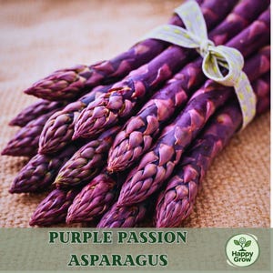 May include: A bundle of vibrant purple asparagus spears tied with a white and yellow dotted ribbon. The image features the text "Purple Passion Asparagus" and a "Happy Grow" logo, set against a textured, neutral background.