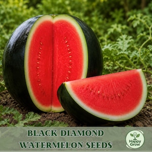 May include: A whole Black Diamond watermelon cut in half, revealing bright red flesh and black seeds. A slice of the watermelon sits in front. The image includes the text "BLACK DIAMOND WATERMELON SEEDS" and a logo.