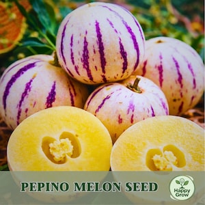 May include: Close-up of several pepino melons, some whole and some halved. The whole melons are white with purple stripes. The halved melons reveal yellow flesh with a central seed cavity. The text "PEPINO MELON SEED" is at the bottom.