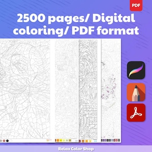 K&ouml;nnte beinhalten: Digitales Malbuch mit 2500 Seiten im PDF-Format. Das Bild zeigt mehrere detaillierte Schwarz-Wei&szlig;-Strichzeichnungen mit einer Farbpalette am unteren Rand. Der Text lautet "2500 Seiten/ Digitales Ausmalen/ PDF-Format".