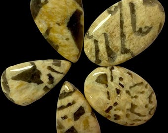 Puede incluir: Cinco piedras preciosas pulidas de varias formas, dispuestas en un patrón circular sobre un fondo negro. Las piedras presentan una mezcla de patrones beige y marrón oscuro, con un acabado brillante. Las formas incluyen formas de lágrima y ovaladas, mostrando variaciones naturales de la piedra.