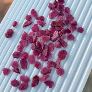 May include: A collection of raw, uncut ruby gemstones in varying shapes and sizes. The gemstones display a deep pink to red hue, scattered on a white, ridged surface. The rough texture of the stones is clearly visible.