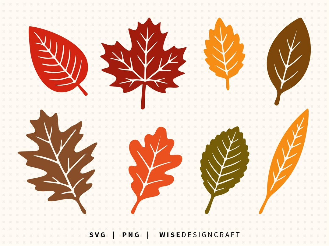 Fall Leaves SVG Bundle: Autumn Maple Leaf PNG Graphics (digital ...