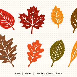 Herbstlaub SVG Bundle: Herbstahornblatt PNG Grafiken (Digitaler Download)
