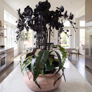 May include: A large arrangement of matte black orchid flowers with long, slender stems and dark green foliage, including fern-like leaves, planted in a round, ribbed, terracotta-coloured ceramic pot with a wide base and a textured surface.