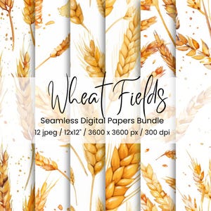 Op de afbeelding: Digitale papierbundel met aquarel illustraties van tarwearen in goud en bruin op een witte achtergrond. De tekst "Wheat Fields" is in cursief geschreven. De bundel bevat 12 jpeg-bestanden, elk 30,48 cm x 30,48 cm.