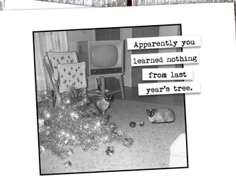 Funny Cat Christmas Card You learned nothing from last year's tree.