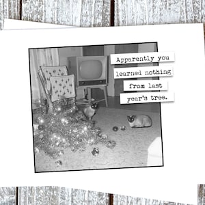 Funny Cat Christmas Card You learned nothing from last year&#39;s tree.