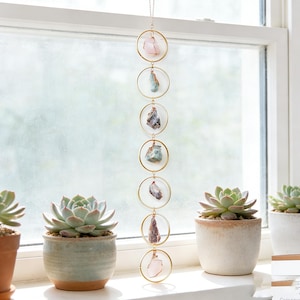 May include: A decorative suncatcher featuring six gold-coloured rings, each with a different raw gemstone. The gemstones are various colours, including pink, blue, grey, and purple. The suncatcher hangs in front of a window with potted succulents.