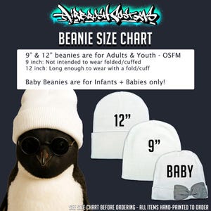 a penguin wearing a beanie and sunglasses