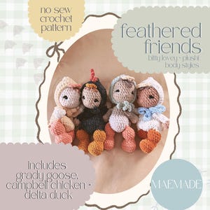 May include: Four handmade crochet plush toys, each designed as a feathered friend. The toys are in shades of pink, orange, and blue. The image includes the text "feathered friends" and "no sew crochet pattern".
