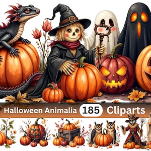 May include: A digital illustration featuring Halloween-themed characters and objects. Includes a black dragon on a pumpkin, a scarecrow, ghosts, jack-o'-lanterns, and other festive elements. The image has the text "Halloween Animalia 185 Cliparts".