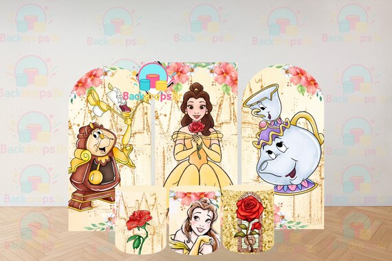 Princess Inspired Arch Backdrop Set 6 Pieces | Cylinder Covers for Birthday Party