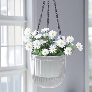 May include: A hanging planter filled with white daisies with yellow centres. The clear, ribbed plastic pot is suspended by a black chain. The daisies are in full bloom, creating a bright display. The background includes a window and a grey wall.