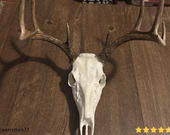 WhiteTail Skull Mount 3D Printing - Blender Modeling - BambuLab - Limited Edition, Only Few Left, Deer Skull, Hunting Decoration