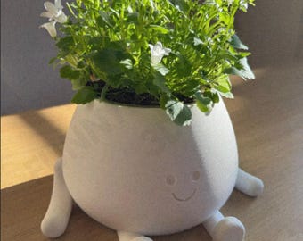 Happy Pot Planter, Smiling Plant Pot, Desk Flower Holder- 3D Printing - Blender Modeling - BambuLab - Limited Edition, Only a Few Left