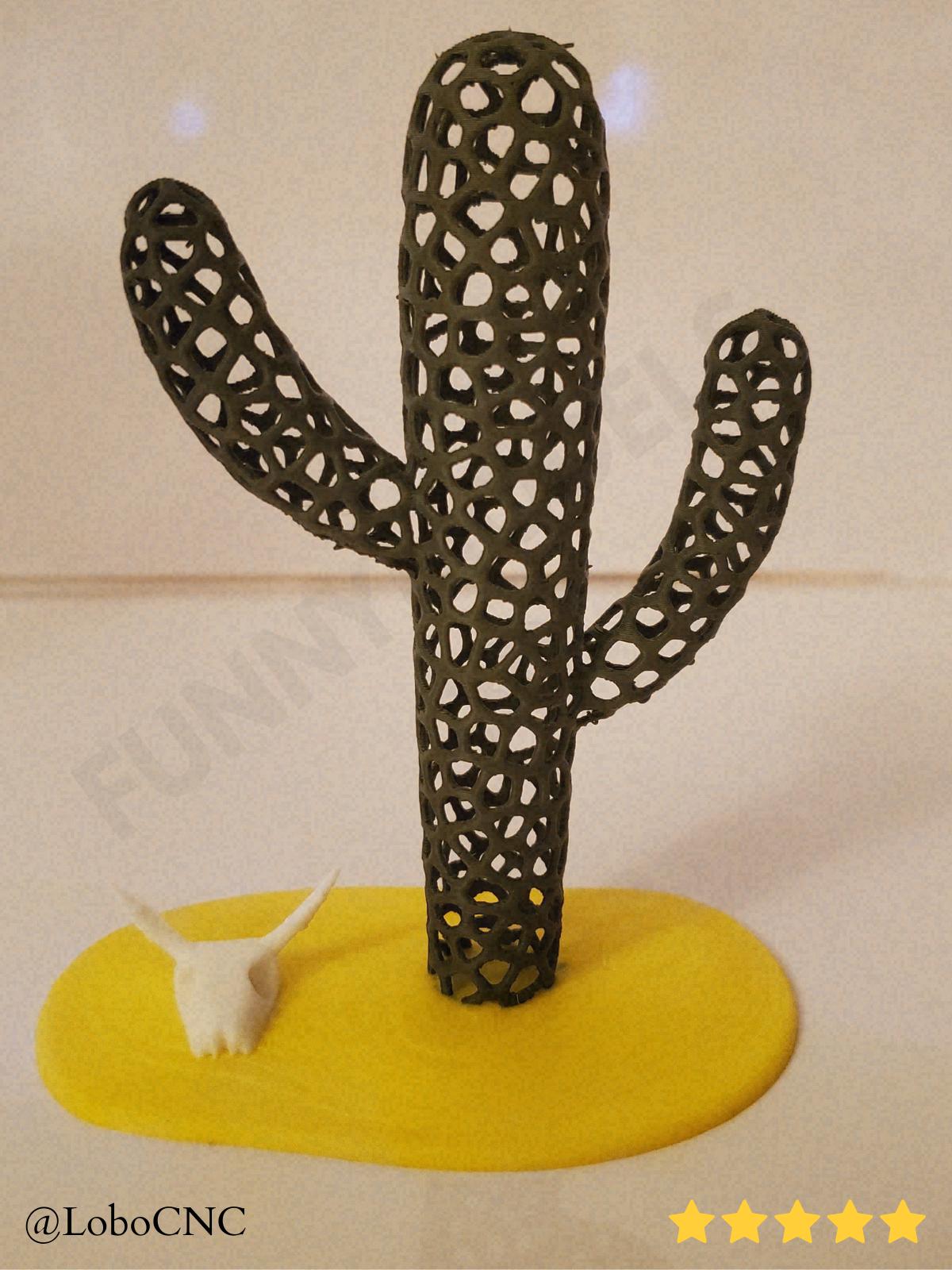 Cactus skeleton - Etsy sterreich
