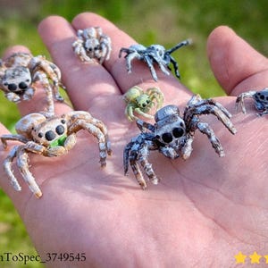 Puede incluir: Una colección de figuras de arañas en miniatura y detalladas en varios colores, incluyendo beige, azul y verde, se muestra en una mano. Las arañas tienen múltiples patas y ojos grandes. La imagen incluye el texto "@DrawnToSpec_3749545".