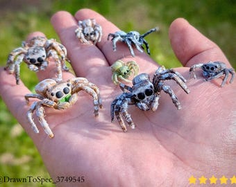 Jumping Spider - Halloween Decoration, Realistic Spider - 3D Printing - Blender Modeling - BambuLab - Limited Edition, Only a Few Left
