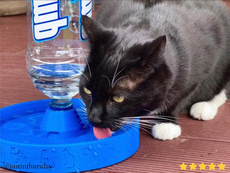 3D printable Bottle Cat Water Bowl designed as a simple self refilling gravity drink station using a standard bottle. Keeps fresh water available for cats all day with minimal effort. Practical pet accessory, Blender optimized and fully compatible with BambuLab printers.