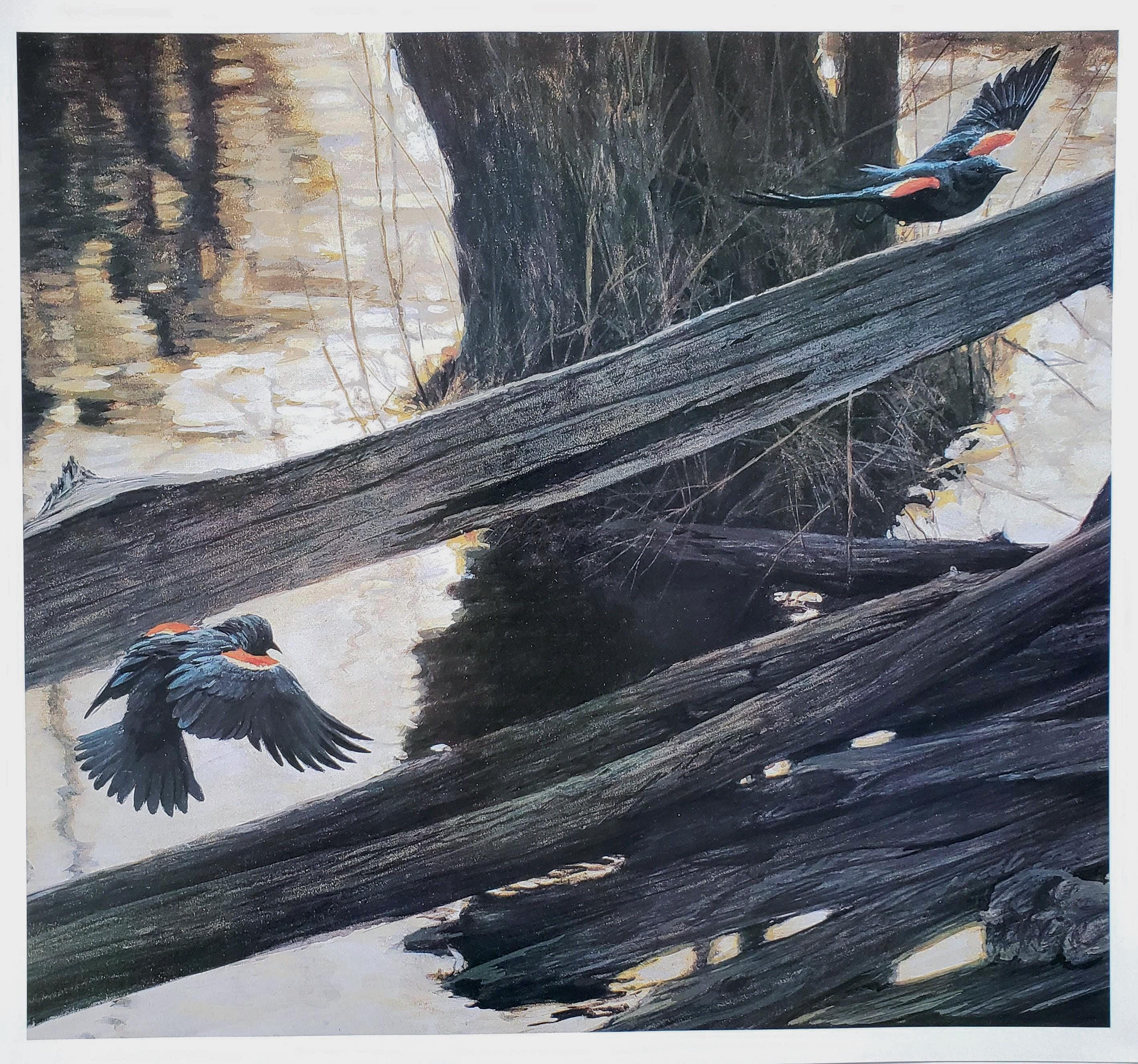 Robert Bateman Birds - Etsy