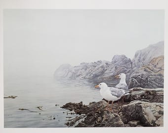 Misty Coast Vintage Bookplate, Robert Bateman 1981 Printed Book Illustration