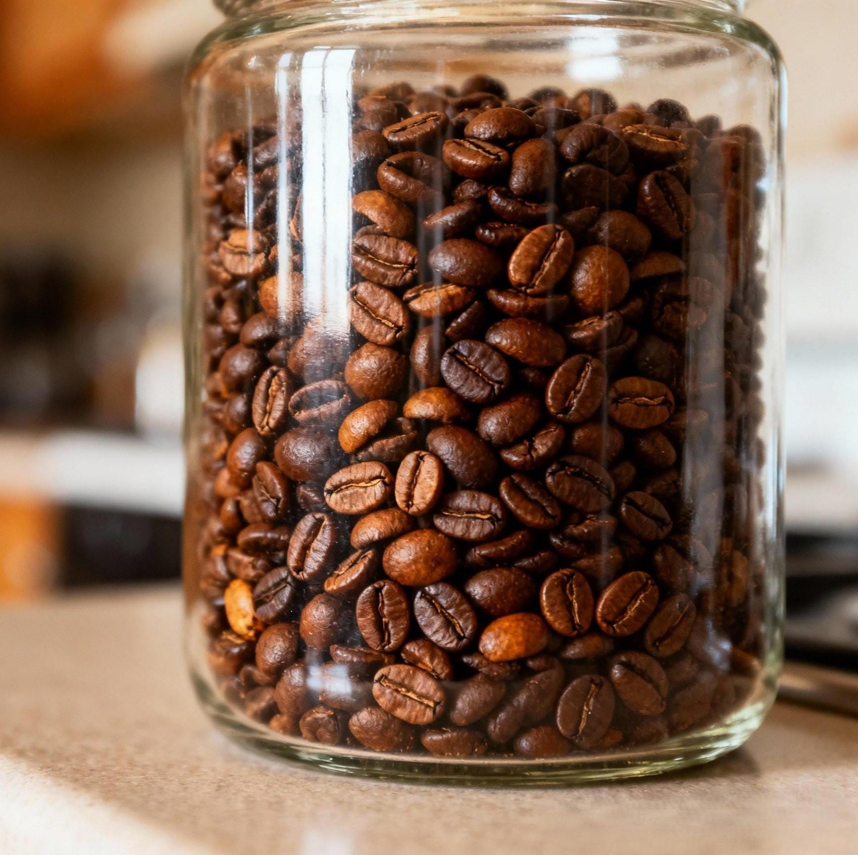 Wild Luwak Coffee ルワックアラビカ 10カップ Wild Luwak Coffee ル