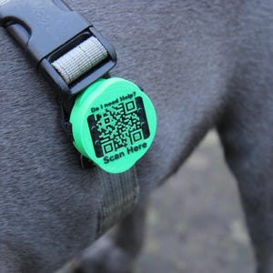 Op de afbeelding: Een groene huisdierpenning met de tekst "Do I need Help? Scan Here" en een QR-code, bevestigd aan een grijs harnas. De penning is rond en bevestigd aan een grijze hond.