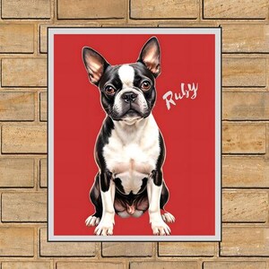 Op de afbeelding: Een ingelijste print met een Boston Terrier hond met een zwart-witte vacht, bruine ogen en een witte vlek op zijn hoofd. De hond zit tegen een rode achtergrond, met de naam "Ruby" in witte letters.