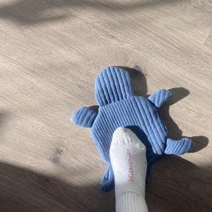May include: A blue corduroy fabric object shaped like a turtle with a rounded body and four small flippers. The texture of the fabric features vertical ridges. A white sock with pink lettering is positioned on top of the blue turtle-shaped item.