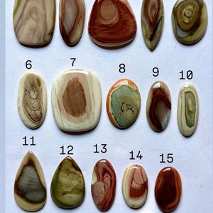 以下が含まれることがあります： 茶色、ベージュ、緑、赤など、さまざまな形と色の研磨されたジャスパーの宝石が15個。 宝石には1から15までの番号が付けられています。 サイズ比較のためにペニーが含まれています。