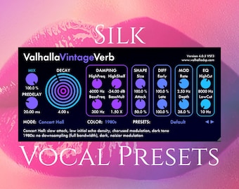 Valhalla Vintage Verb Vocal Presets | Silk