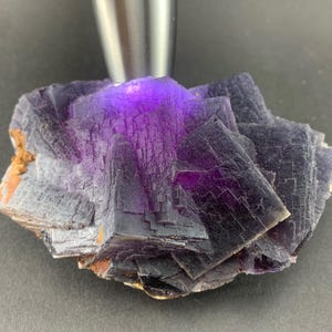 Puede incluir: Primer plano de un espécimen mineral de fluorita. La fluorita es de color púrpura oscuro, con una estructura cristalina. La muestra está iluminada con una luz púrpura, resaltando su color y textura.