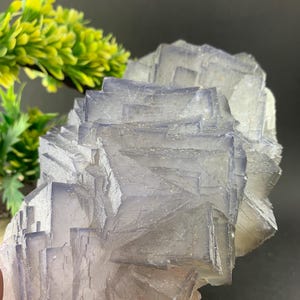 Puede incluir: Primer plano de un grupo de cristales de fluorita. El cristal tiene una estructura cúbica con un tono púrpura pálido y una apariencia translúcida. Los bordes del cristal están bien definidos y la forma general es geométrica. Se ve follaje verde en el fondo.