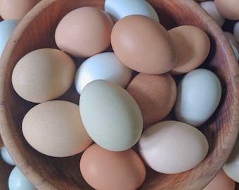 One dozen small cleaned out chicken eggs