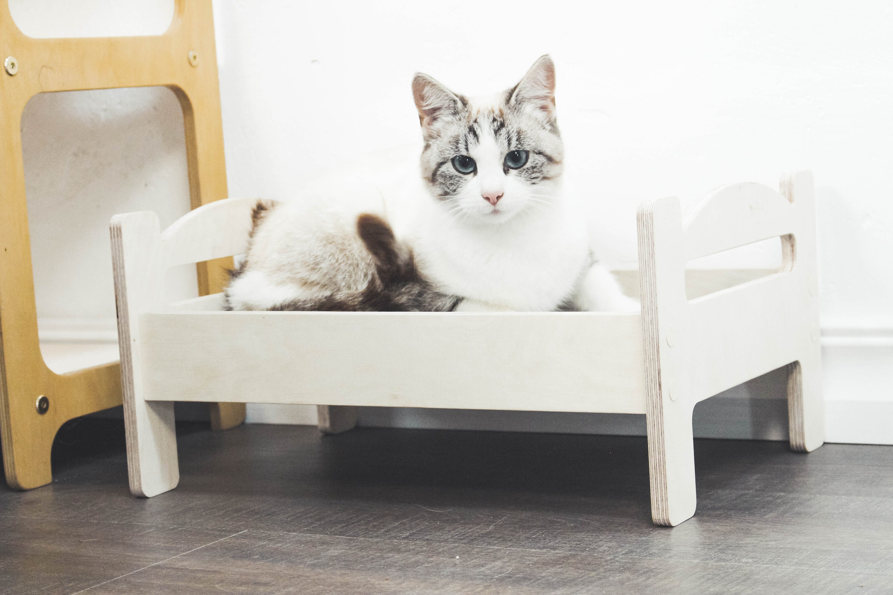 Natural Wood Cat Bed, Modern Kitten Sleeper, Small Dog Bed