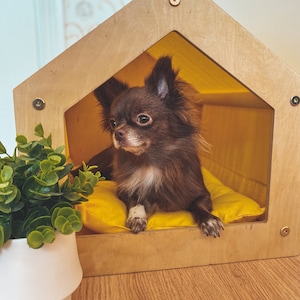 Casa para perros pequeños y medianos con puerta metálica - MASCOTAMODA