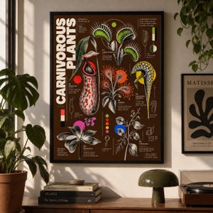Peut inclure: Une affiche murale rectangulaire sur fond brun foncé présentant des illustrations botaniques détaillées de six plantes carnivores. Le texte CARNIVOROUS PLANTS est imprimé verticalement en blanc sur le côté gauche, accompagné d'étiquettes scientifiques, de diagrammes et d'accents circulaires colorés.